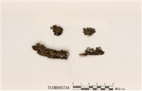 藏品(圓盤衣屬)的圖片